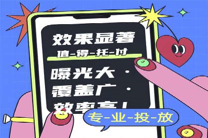 sem代运营机构经典案例：提升广告投放效果